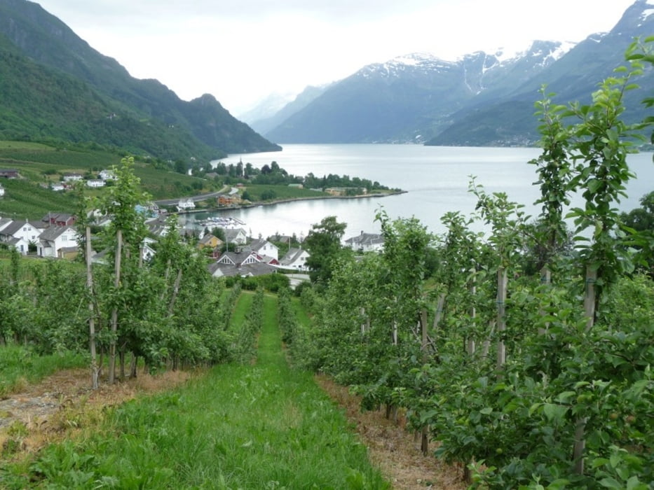 vom Fjord in die Hardanger Vidda via Nosi