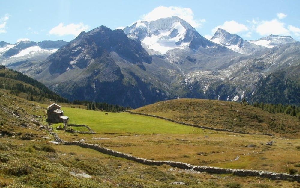 Barenlueg Sharte - Passo dell'Orso