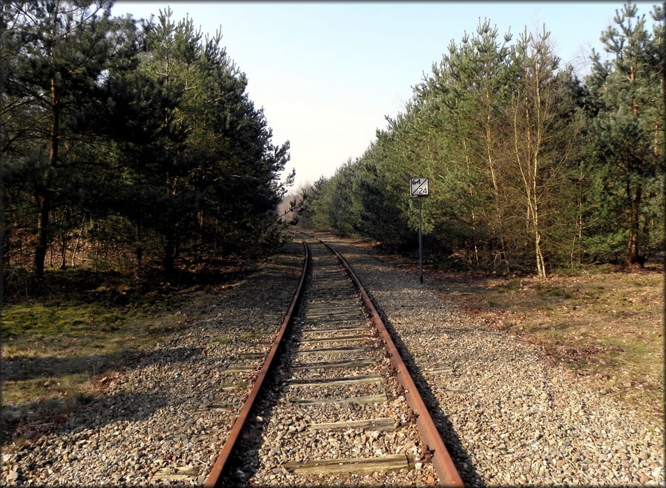 Rondwandeling Meinweg (grensoverschrijdend)