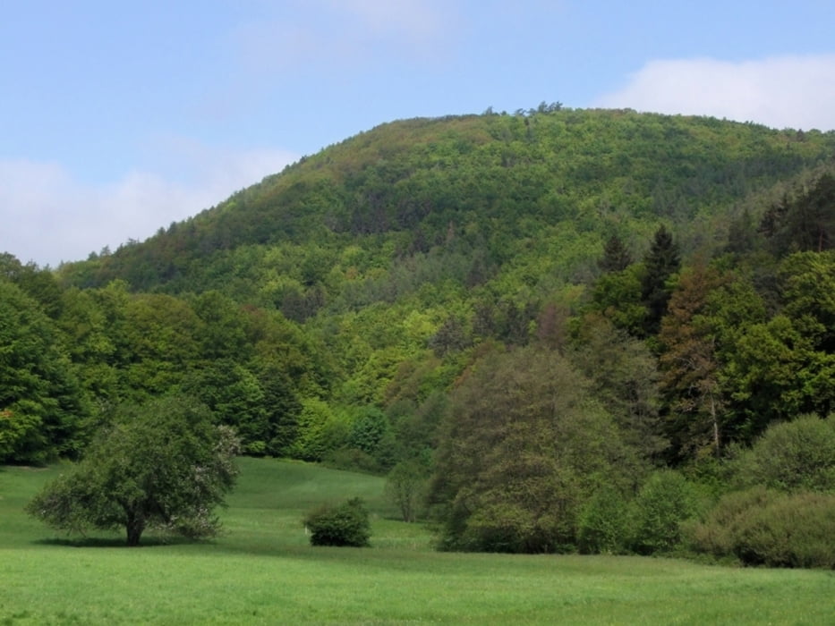Nationalpark Kellerwald - Buchenmeer