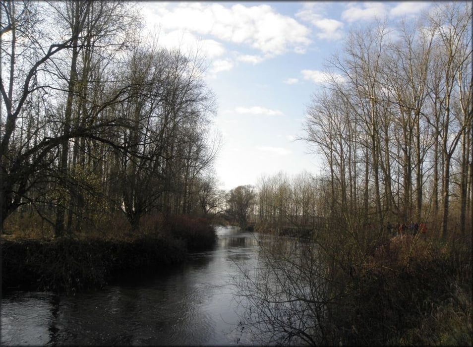 Grensoverschrijdende rondwandeling Herkenbosch