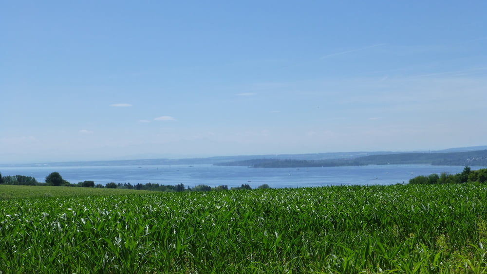 von Meersburg nach Überlingen