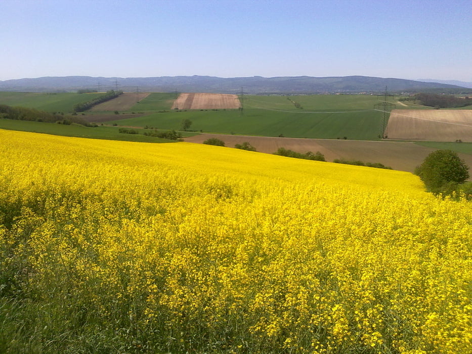 Zillingtal