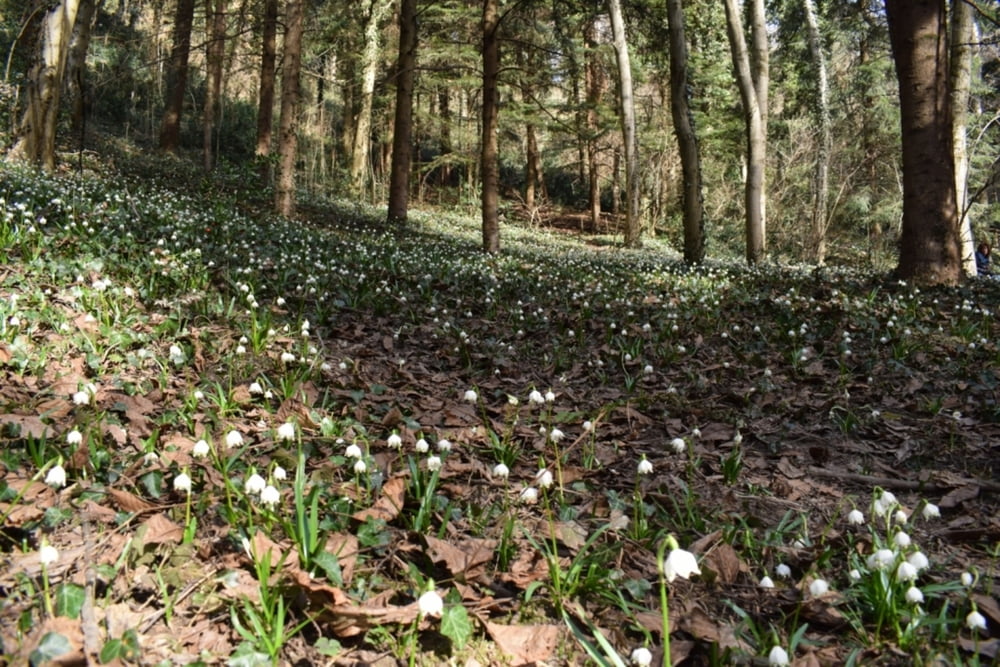 val Primavera