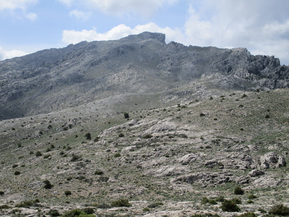 Monte Corrasi - 1463 m