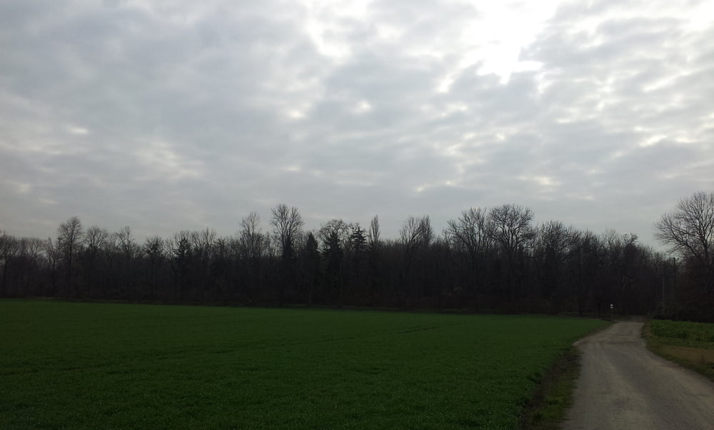 Himberg