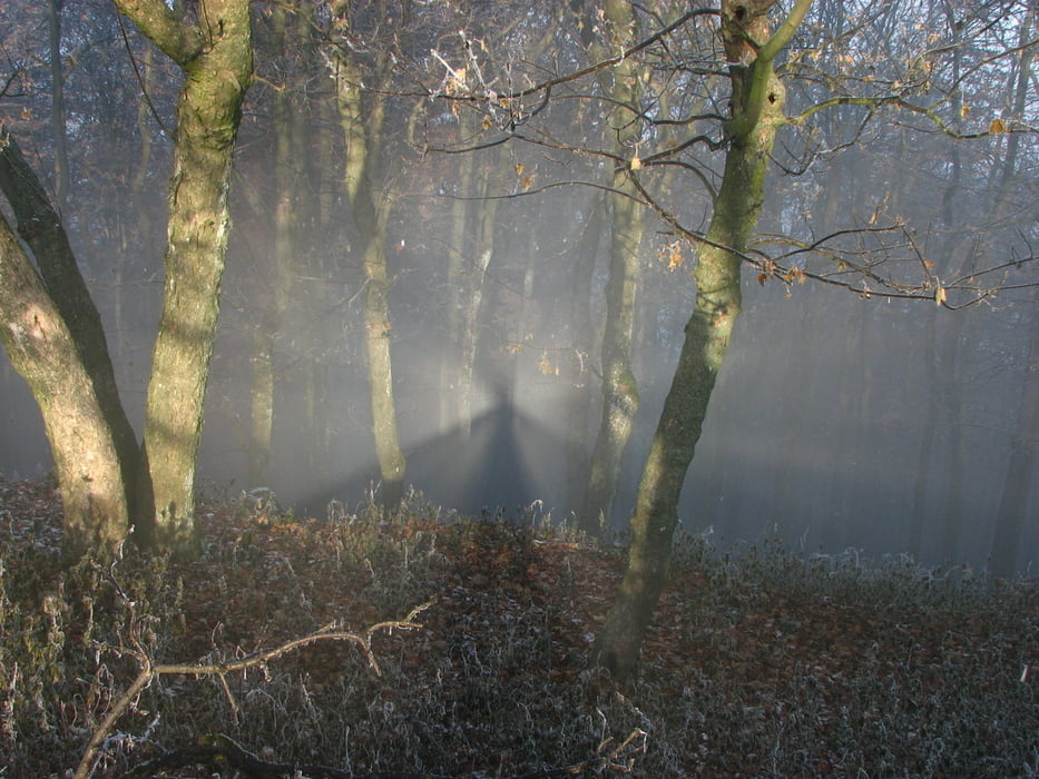 20111117_Havrania, Záruby, Ostrý Kameň, Veterlín, Čelo