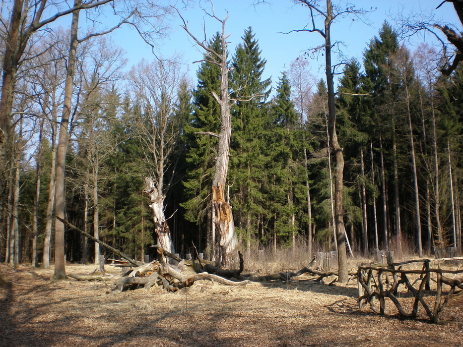 MTB - HK - Čermná n_O -1 a zpět