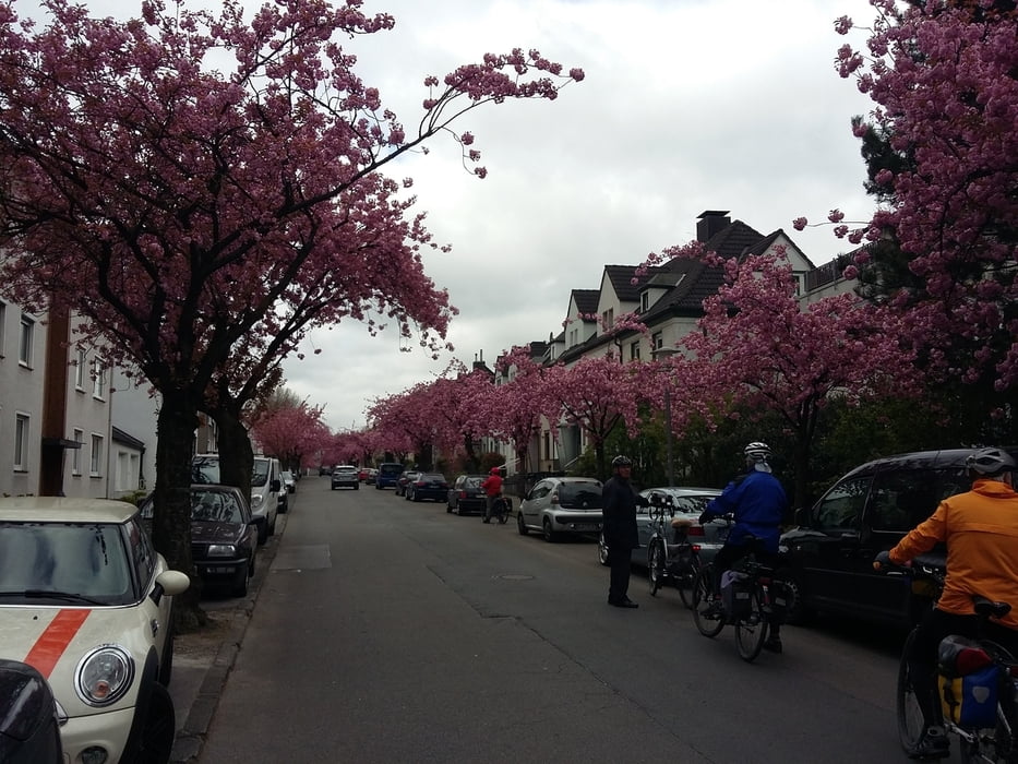 Rund um Gladbeck