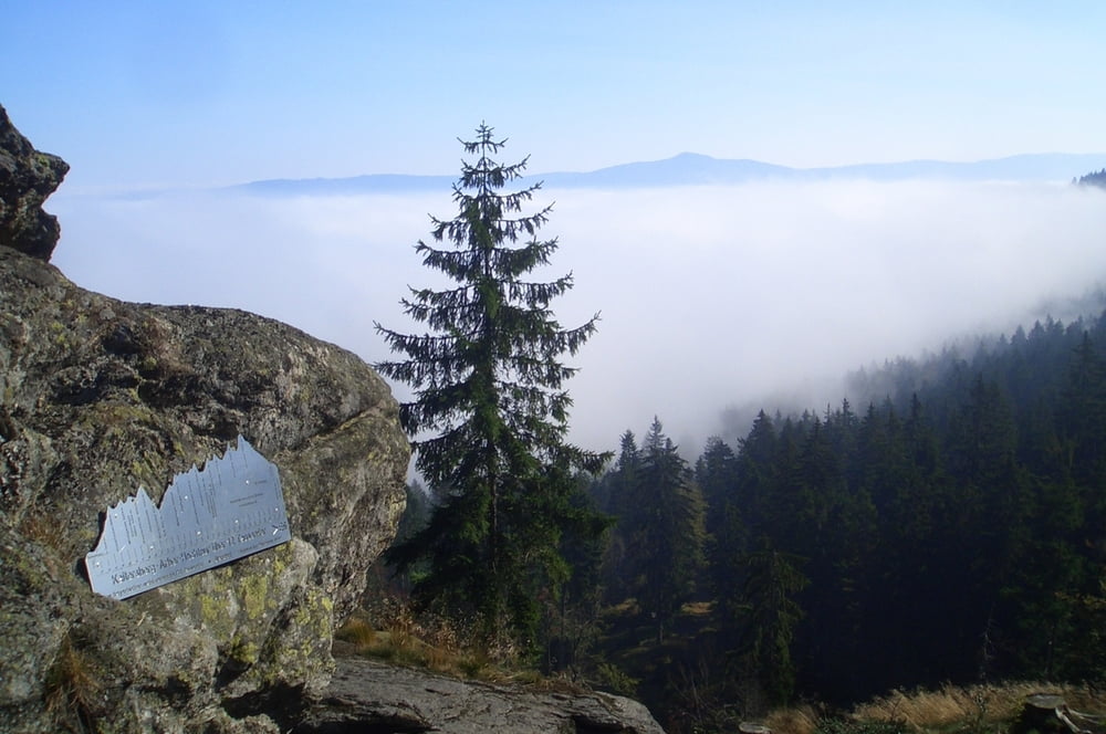 Kaitersberg-Rauchrören-Kötztinger Hütte-Räuber Heigl Höhle