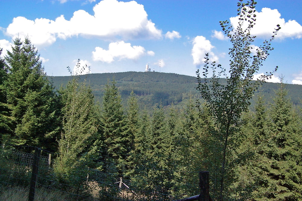 Rund um den Großen Feldberg