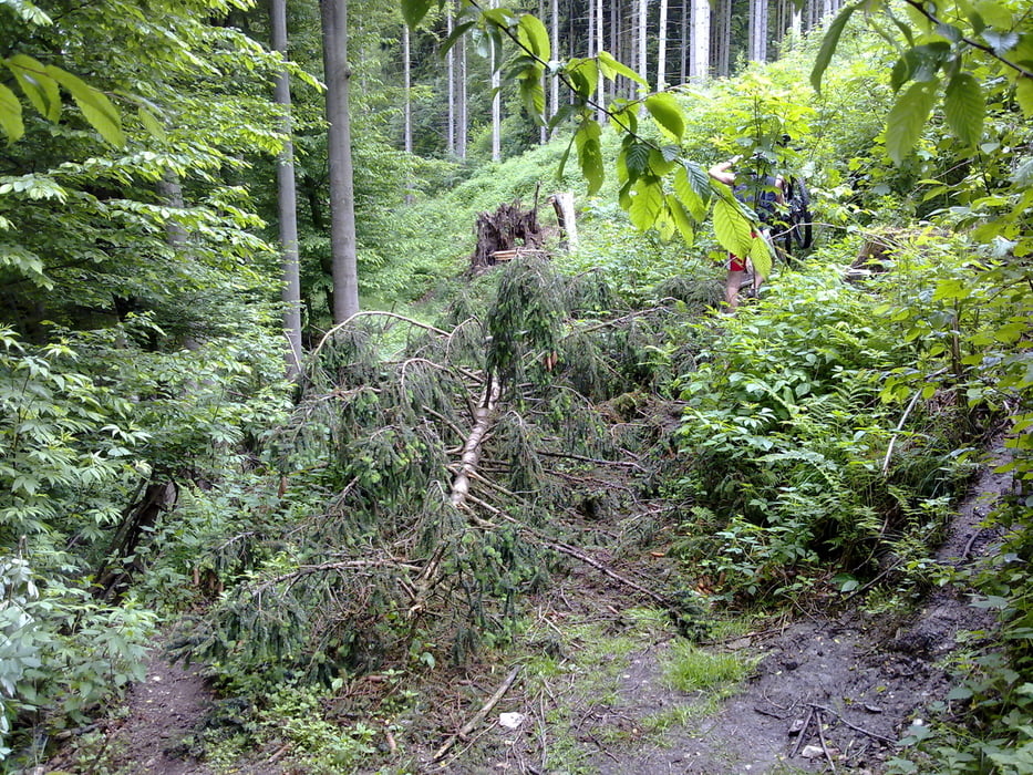 Thale-Rappbode-Thale