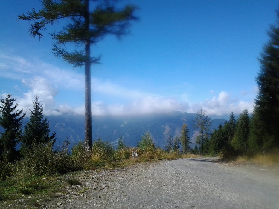 Enzian und um den Zeller See