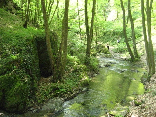 Von Emmelshausen durch die Ehrbachklamm zur Mosel