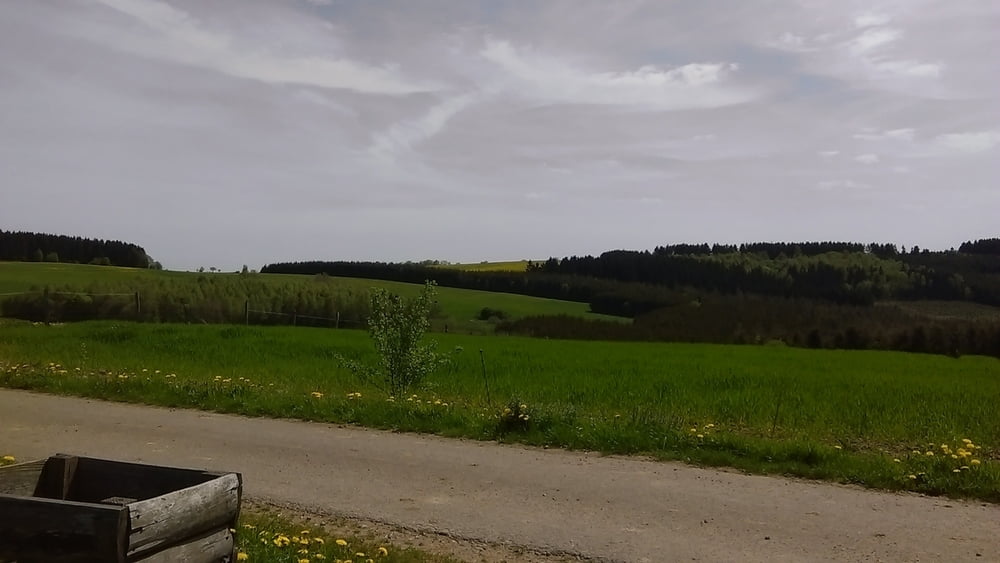 Schönberg-Weberbach