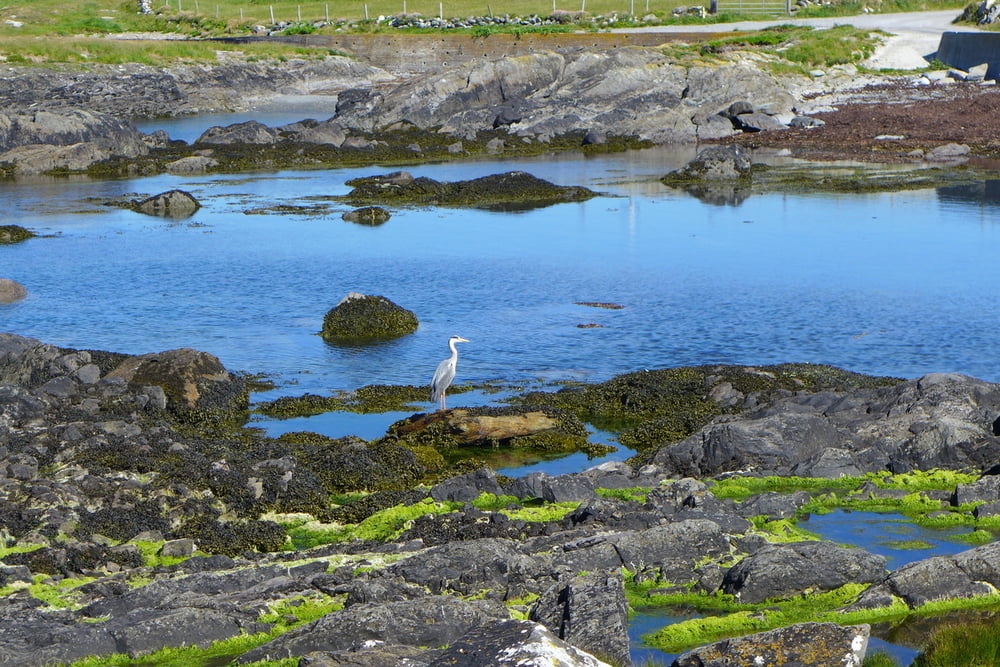 Beara Way: Von Eyeries nach Ardgroom