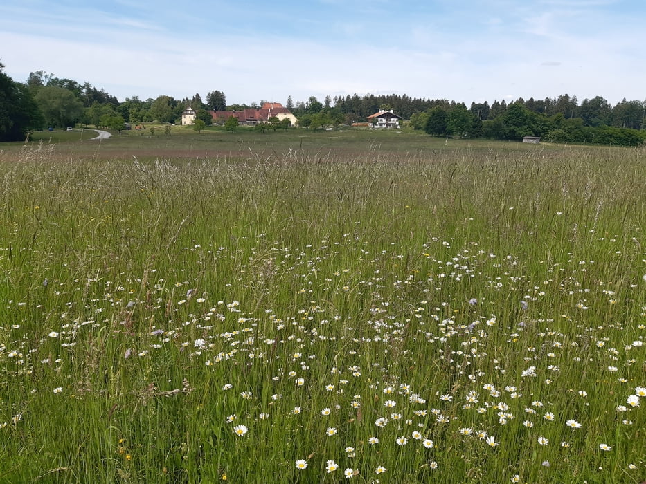 Zinneberg–Sonnenhausen