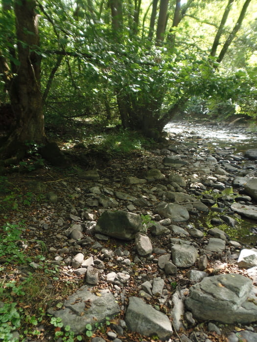 36a/2026.Veľký meander Slatiny