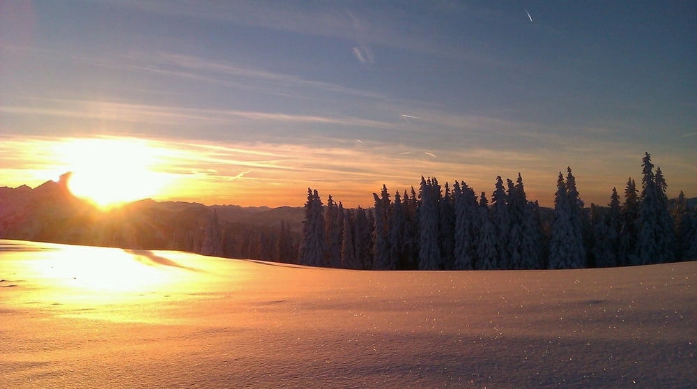 Skitour Schönkahler