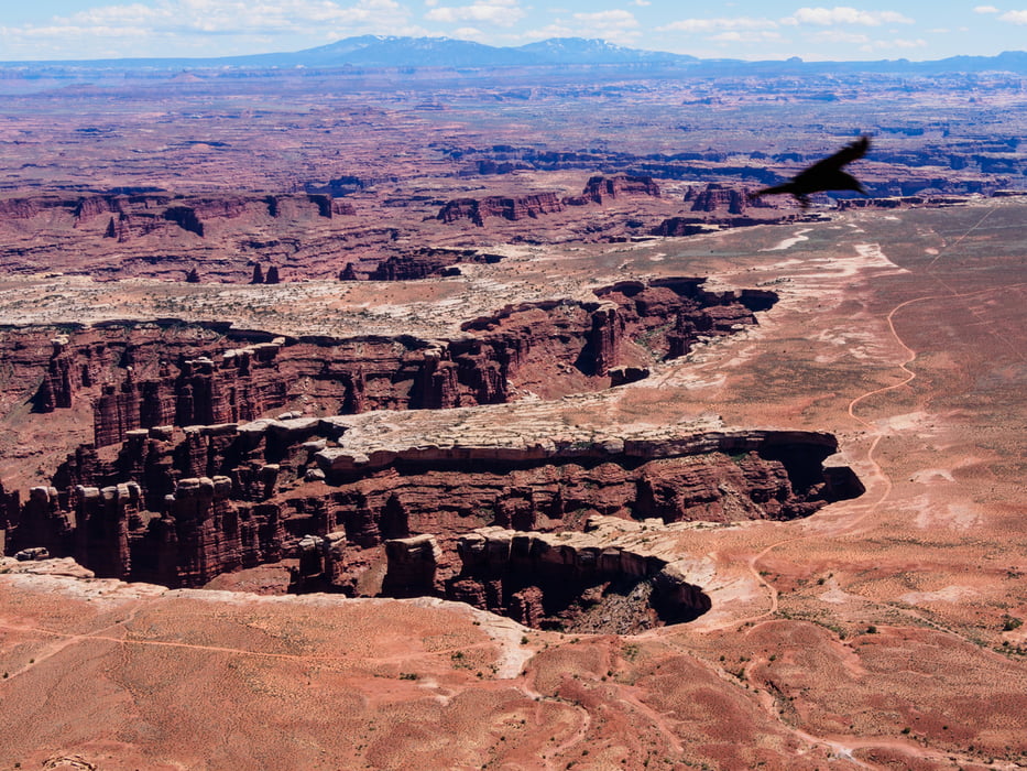 160511b USA Canyonlands NP - Island in the Sky - Grand View Point Trail 