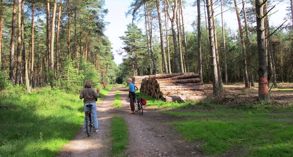 Mölln-Radfahren Seen-Rundfahrt