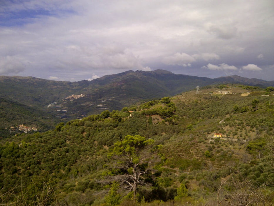Aregai - Civezza - Monte Faudo - Cipressa - Aregai