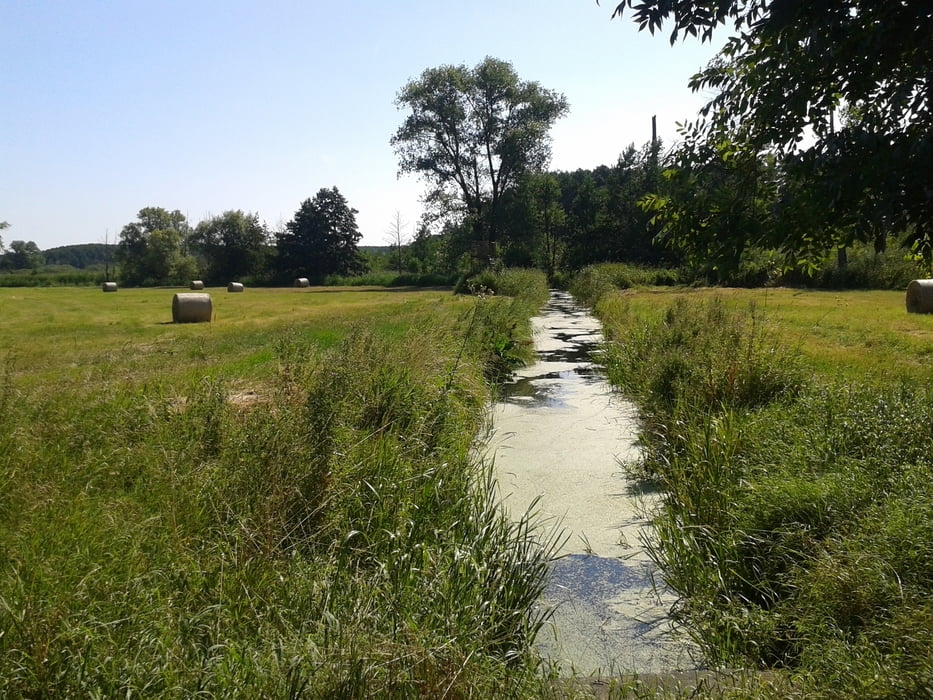 48. Netzen-Trechwitz-Jeserig-Havelradweg-Radtour-Götzer Berge-Phöben-Werder (Havel)-Lehnin-Nahmitz-Netzen