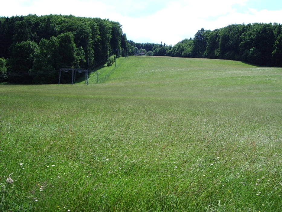 Karst-Wanderweg Laichinger Alb