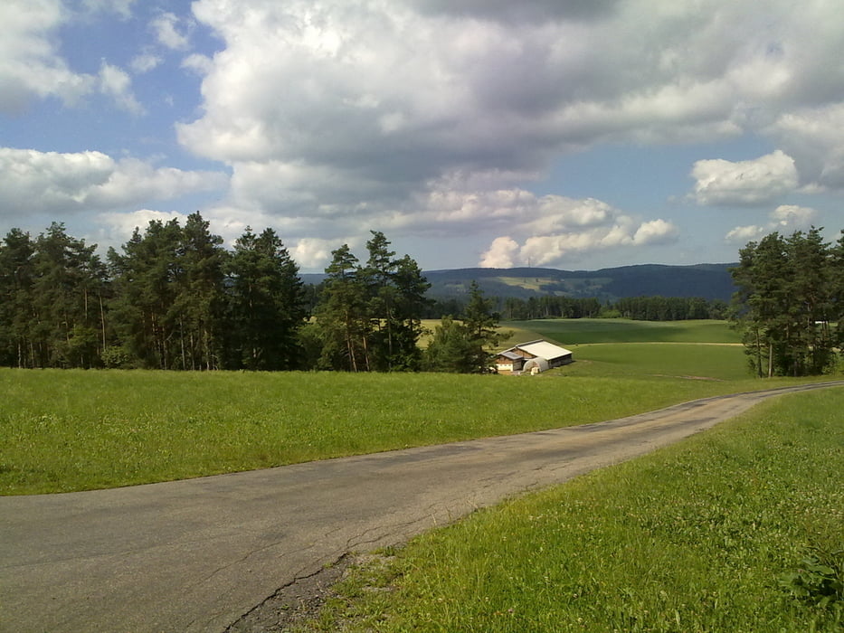 Hochwald - Brunnholz - Kohlwald
