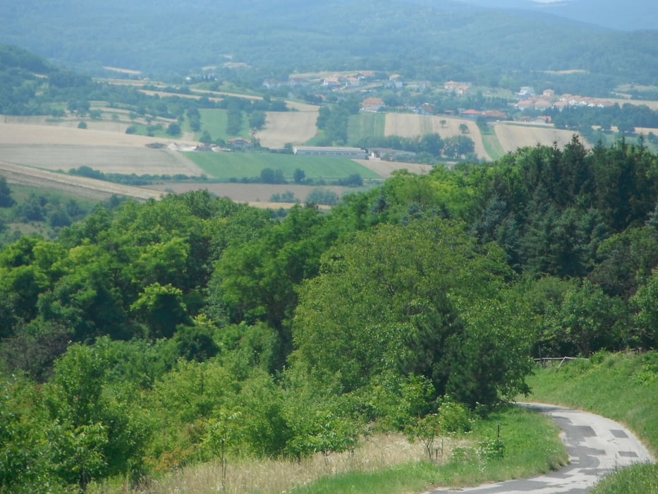 Koglweg