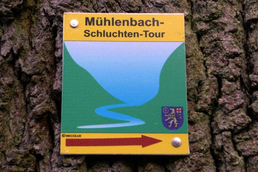 Mühlenbach-Schluchten-Tour in Saarwellingen