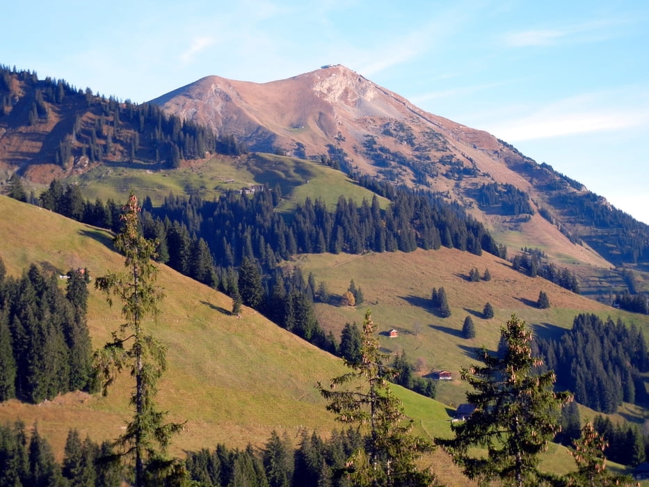 Steinschlaghore