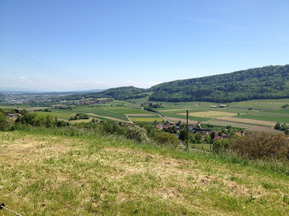 Wehntal - Bachserwald - Lägern