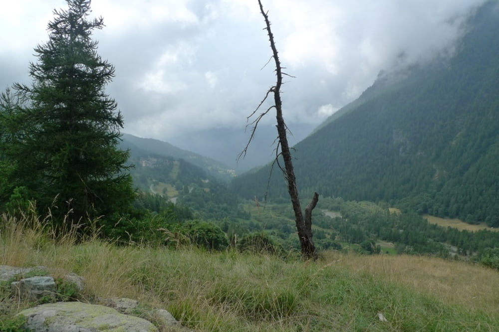 Castello - Lago Secco - Rifugio Bagnour - Castello