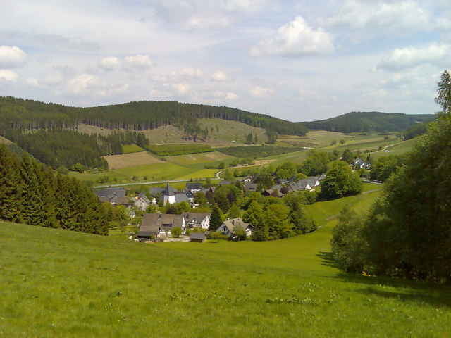 Wildewiese Fretter Wildewiese
