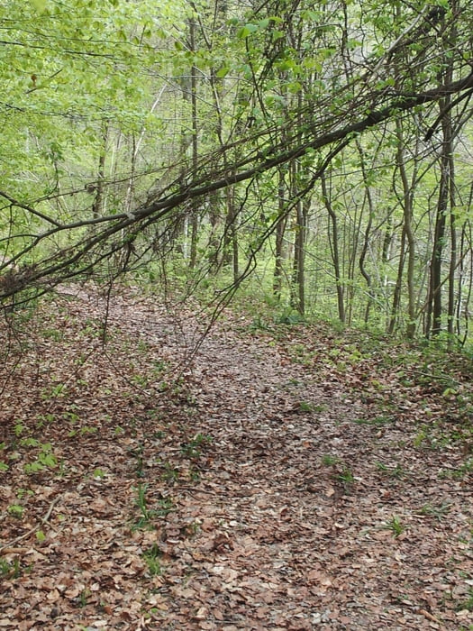 Höchsten und Gehrenberg - Rundtour