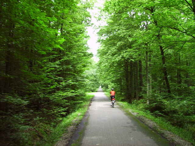 Zum Eingewöhnen auf den Fahrradsattel
