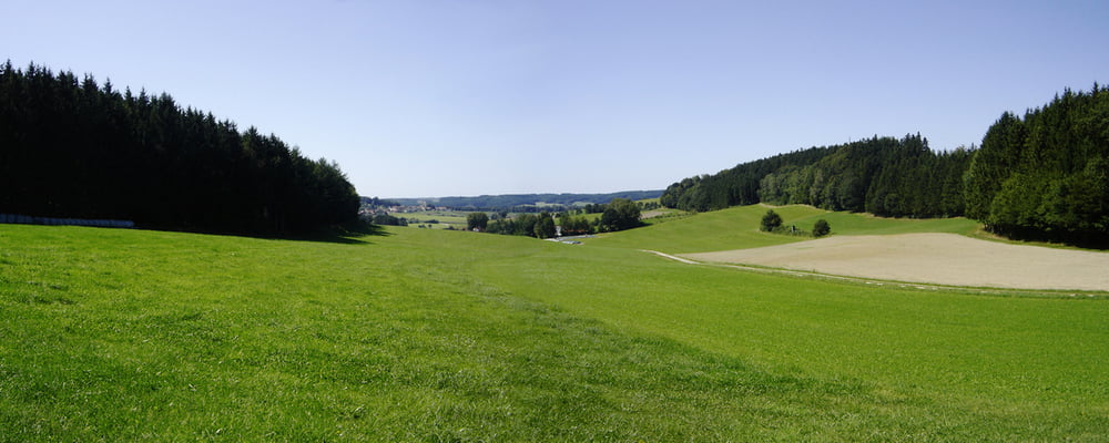 Panorama in den Stauden