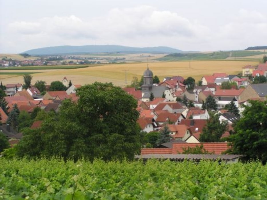 Alzeyer Wingertswege 2