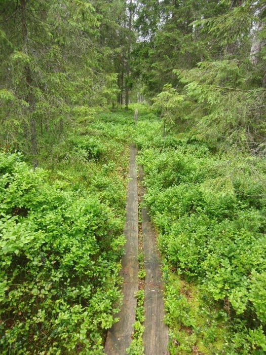 Naturreservat Kindlahöjden