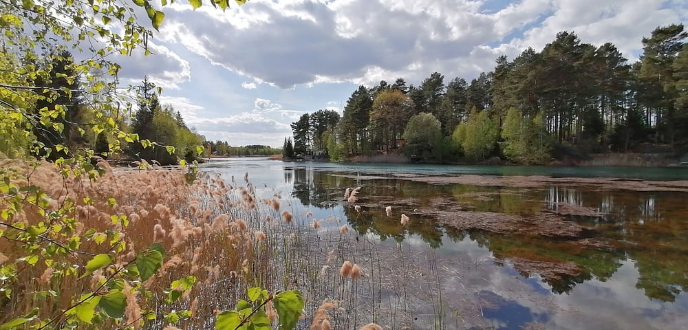 369. Hosena, Oberer Spreewald - Lausitz Bergbau Seen Wandertour ;-))