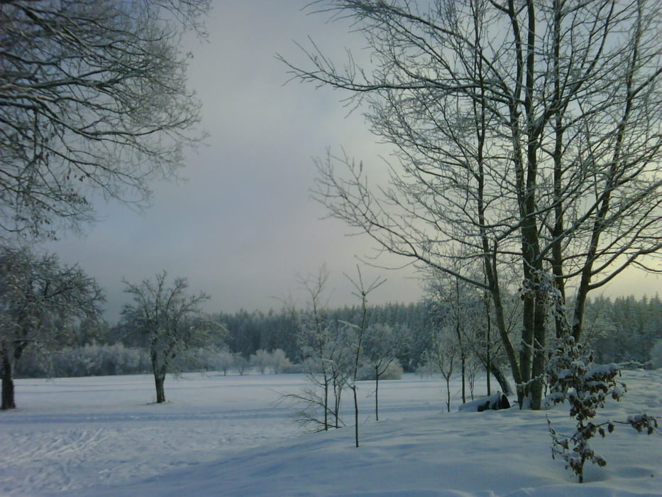Neuhäusle - Auerhahn - Villinger Skiclub