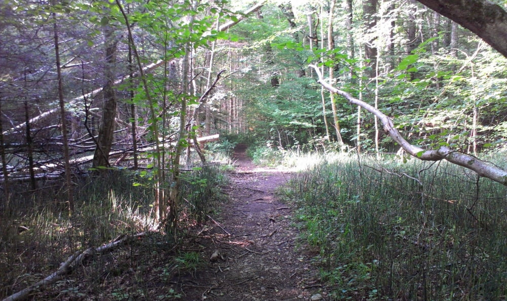 Mangfalltaltrails - auch für Kinder ab 10
