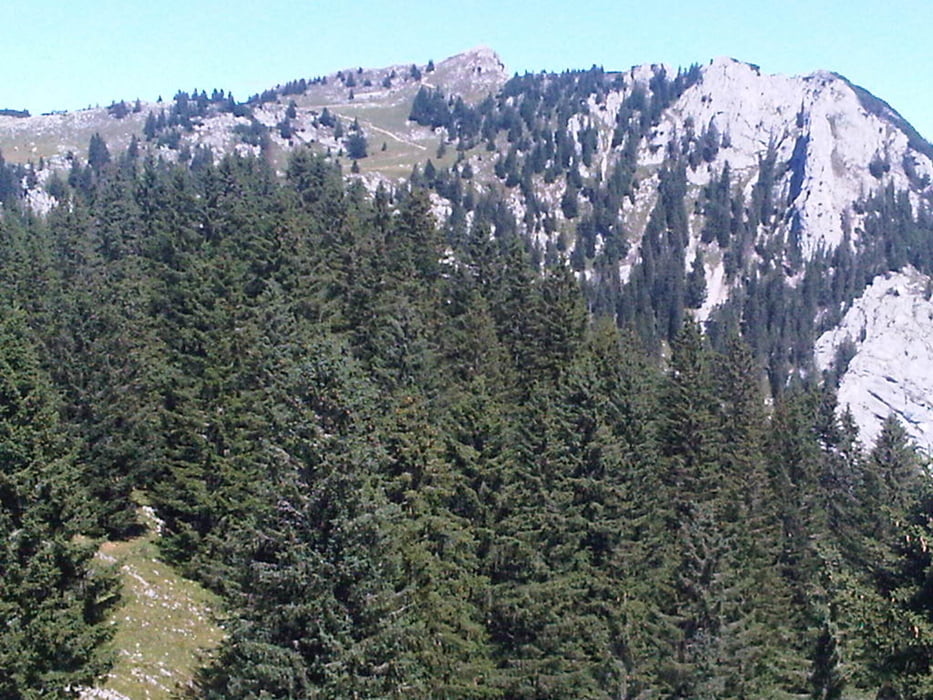 Fischbachau-Schweinsberg-Breitenstein