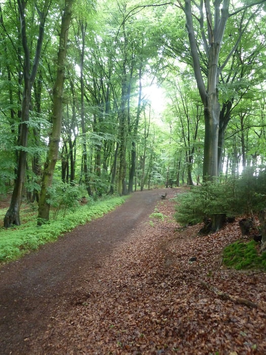 Region Wegberg - Niederkrüchten