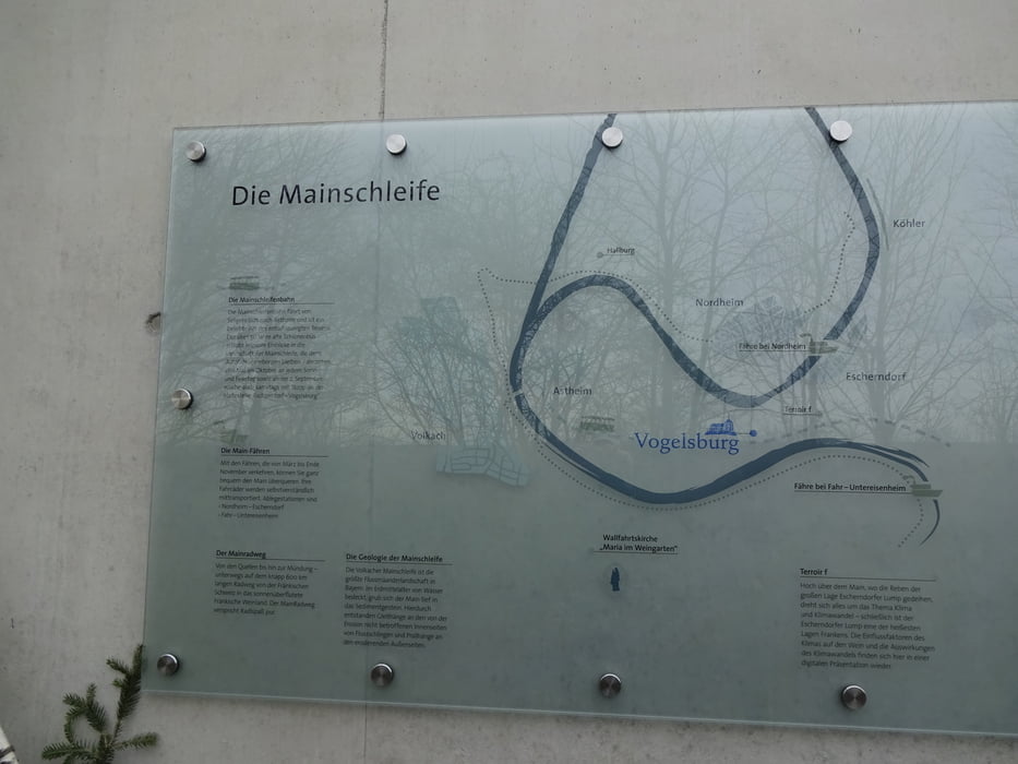 Runde Escherndorf (Vogelsburg und Mainschleife )