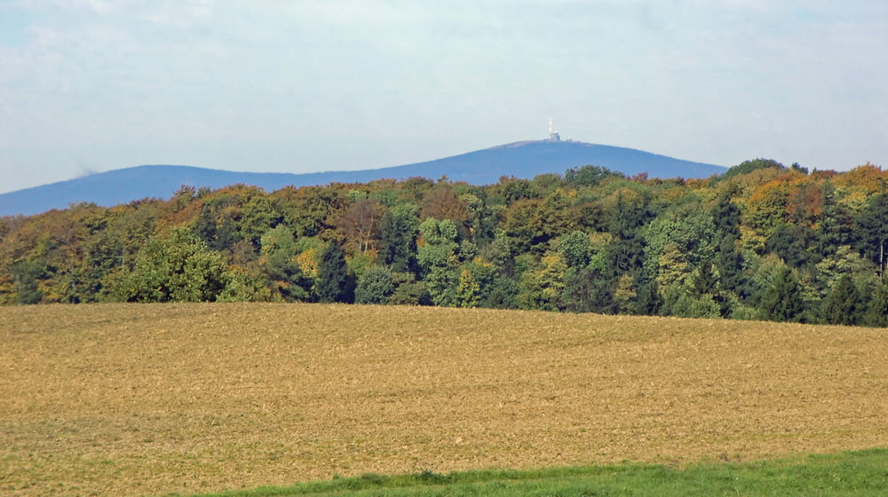 Stiege - Güntersberge - Windenhütte