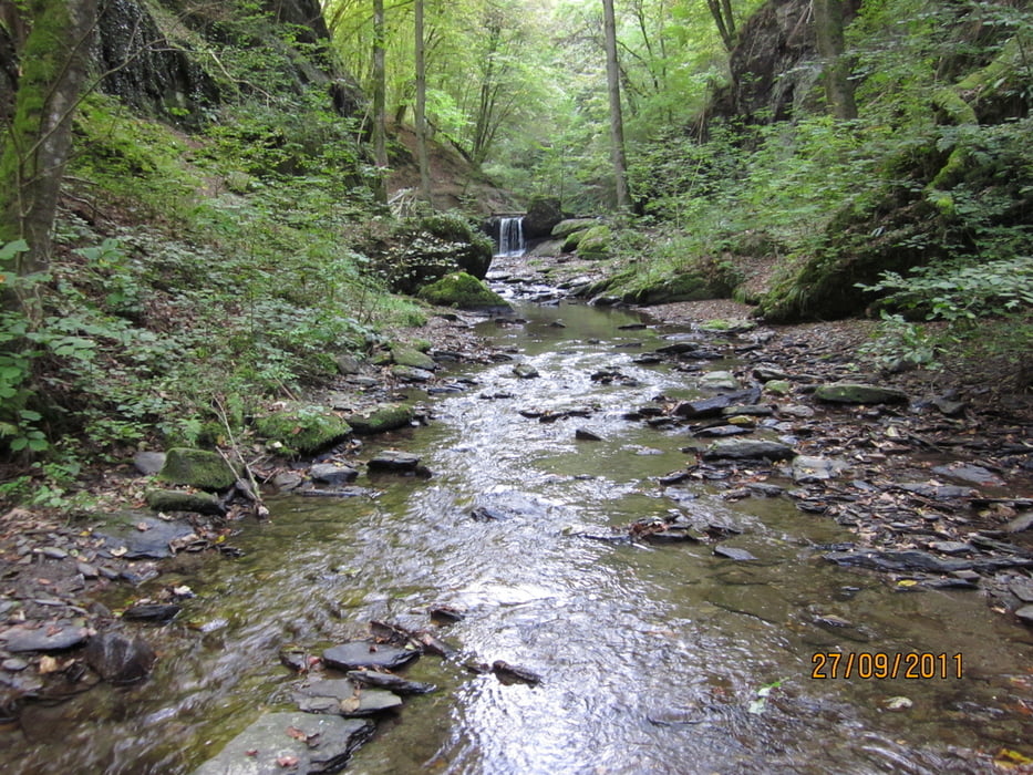 vom Hunsrück bis zur Mosel durch die Ehrbachklamm