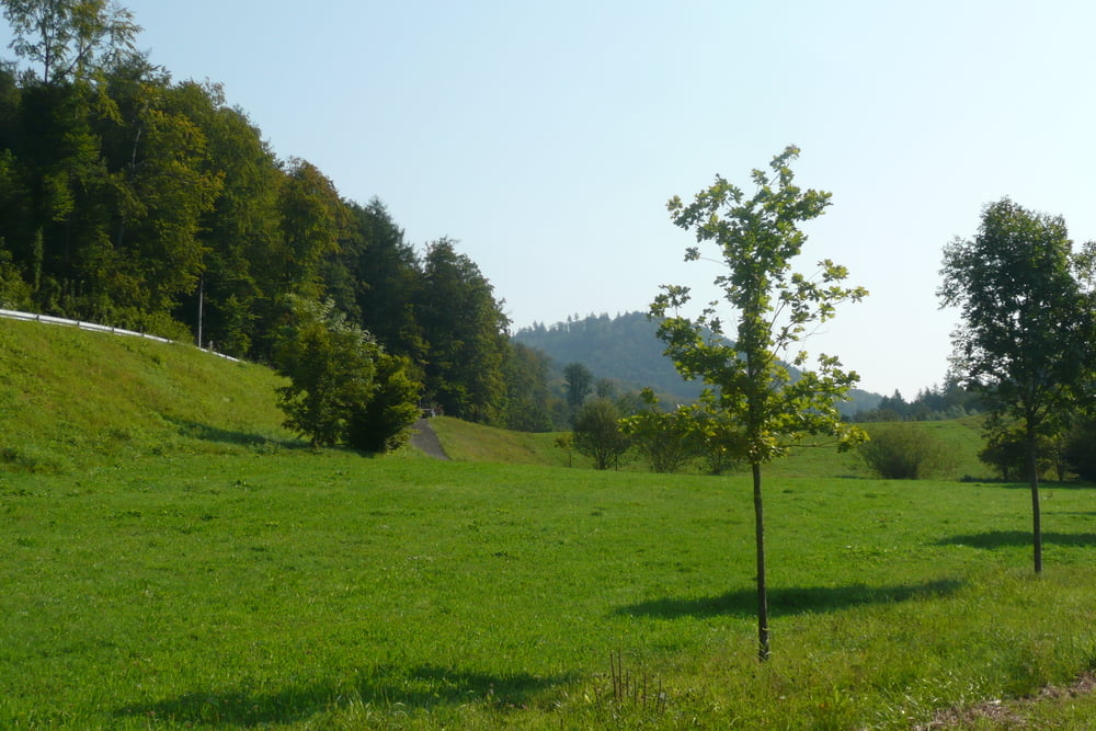 Freiamt Bildsteinstrasse