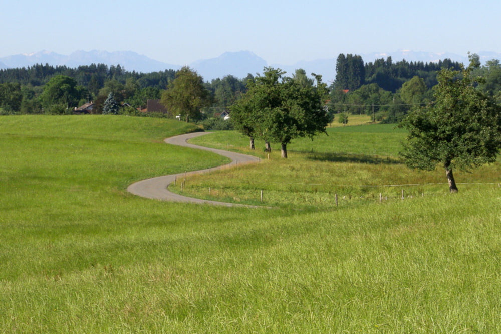 Von Wangen auf den Pfänder